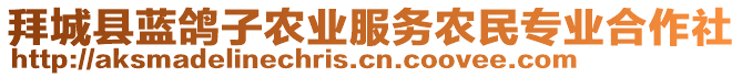 拜城縣藍(lán)鴿子農(nóng)業(yè)服務(wù)農(nóng)民專業(yè)合作社