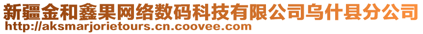 新疆金和鑫果網(wǎng)絡(luò)數(shù)碼科技有限公司烏什縣分公司