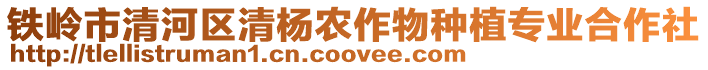 鐵嶺市清河區清楊農作物種植專業合作社