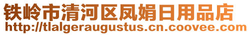 鐵嶺市清河區(qū)鳳娟日用品店