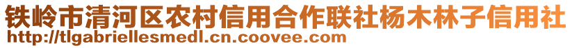 鐵嶺市清河區(qū)農(nóng)村信用合作聯(lián)社楊木林子信用社