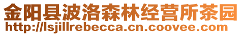 金陽縣波洛森林經(jīng)營所茶園