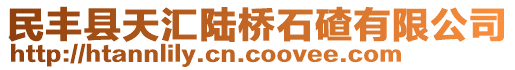 民豐縣天匯陸橋石碴有限公司