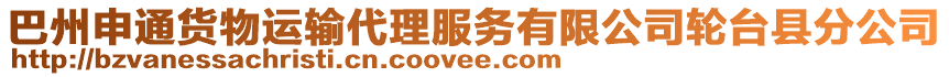 巴州申通貨物運輸代理服務有限公司輪臺縣分公司