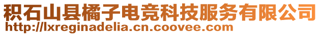 積石山縣橘子電競科技服務有限公司