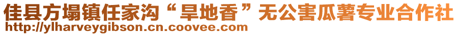 佳縣方塌鎮(zhèn)任家溝“旱地香”無公害瓜薯專業(yè)合作社