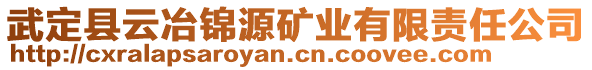 武定縣云冶錦源礦業(yè)有限責(zé)任公司