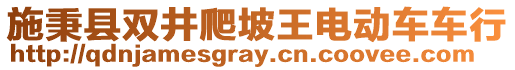 施秉縣雙井爬坡王電動車車行