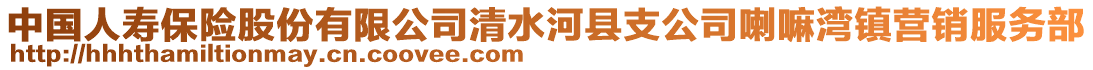 中國人壽保險股份有限公司清水河縣支公司喇嘛灣鎮(zhèn)營銷服務(wù)部