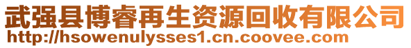 武強(qiáng)縣博睿再生資源回收有限公司