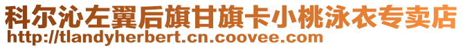 科尔沁左翼后旗甘旗卡小桃泳衣专卖店