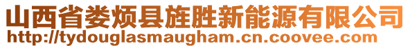 山西省婁煩縣旌勝新能源有限公司