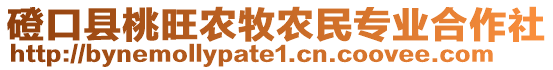 磴口县桃旺农牧农民专业合作社