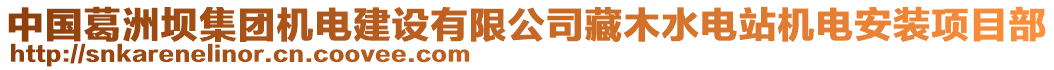 中國葛洲壩集團(tuán)機(jī)電建設(shè)有限公司藏木水電站機(jī)電安裝項(xiàng)目部