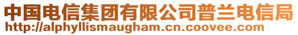 中國電信集團有限公司普蘭電信局