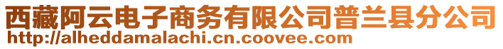 西藏阿云电子商务有限公司普兰县分公司