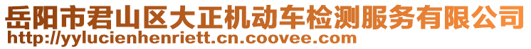 岳陽市君山區(qū)大正機動車檢測服務(wù)有限公司