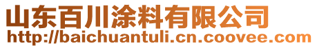 山東百川涂料有限公司