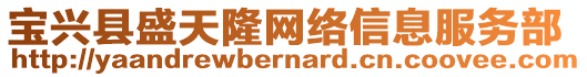 寶興縣盛天隆網(wǎng)絡(luò)信息服務(wù)部