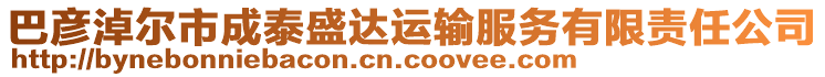 巴彥淖爾市成泰盛達(dá)運(yùn)輸服務(wù)有限責(zé)任公司