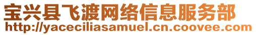 寶興縣飛渡網(wǎng)絡(luò)信息服務(wù)部