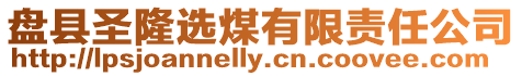 盤縣圣隆選煤有限責任公司