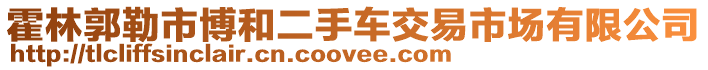 霍林郭勒市博和二手車交易市場有限公司