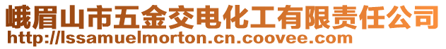 峨眉山市五金交电化工有限责任公司