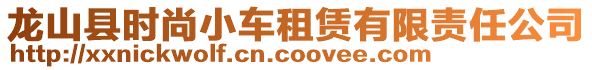 龍山縣時(shí)尚小車租賃有限責(zé)任公司