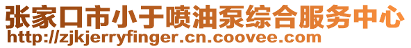張家口市小于噴油泵綜合服務(wù)中心