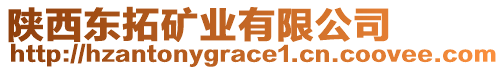 陜西東拓礦業(yè)有限公司