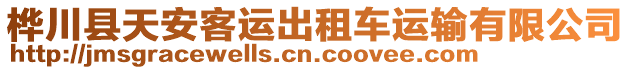 樺川縣天安客運出租車運輸有限公司