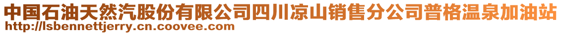 中國(guó)石油天然汽股份有限公司四川涼山銷售分公司普格溫泉加油站