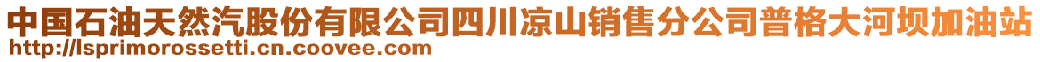 中國(guó)石油天然汽股份有限公司四川涼山銷售分公司普格大河壩加油站