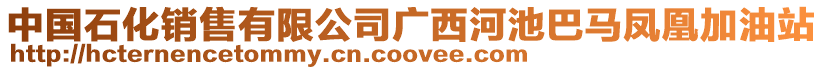 中國(guó)石化銷售有限公司廣西河池巴馬鳳凰加油站
