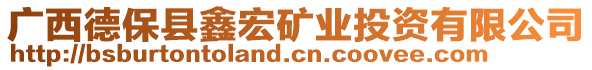 广西德保县鑫宏矿业投资有限公司