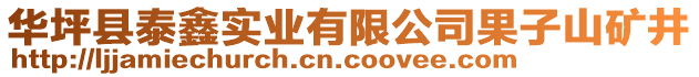 華坪縣泰鑫實業(yè)有限公司果子山礦井