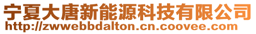 寧夏大唐新能源科技有限公司