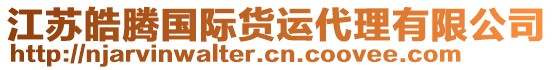 江蘇皓騰國際貨運(yùn)代理有限公司