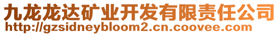 九龍龍達(dá)礦業(yè)開發(fā)有限責(zé)任公司