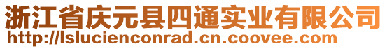 浙江省慶元縣四通實(shí)業(yè)有限公司