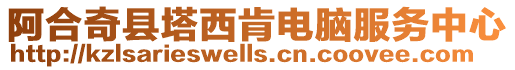 阿合奇县塔西肯电脑服务中心