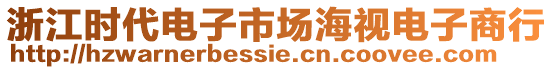 浙江時(shí)代電子市場海視電子商行