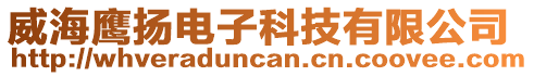 威海鷹揚(yáng)電子科技有限公司