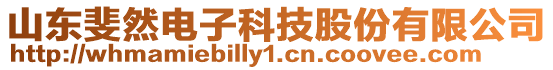 山東斐然電子科技股份有限公司