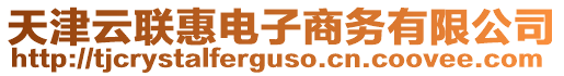 天津云聯(lián)惠電子商務(wù)有限公司