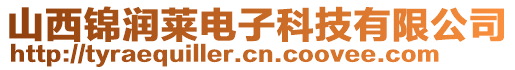 山西錦潤萊電子科技有限公司