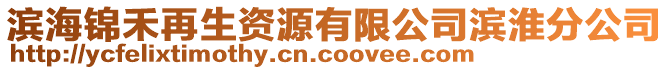 濱海錦禾再生資源有限公司濱淮分公司