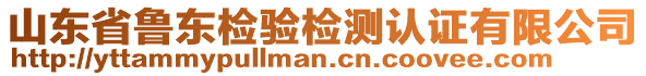 山東省魯東檢驗(yàn)檢測(cè)認(rèn)證有限公司