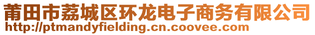 莆田市荔城區(qū)環(huán)龍電子商務(wù)有限公司